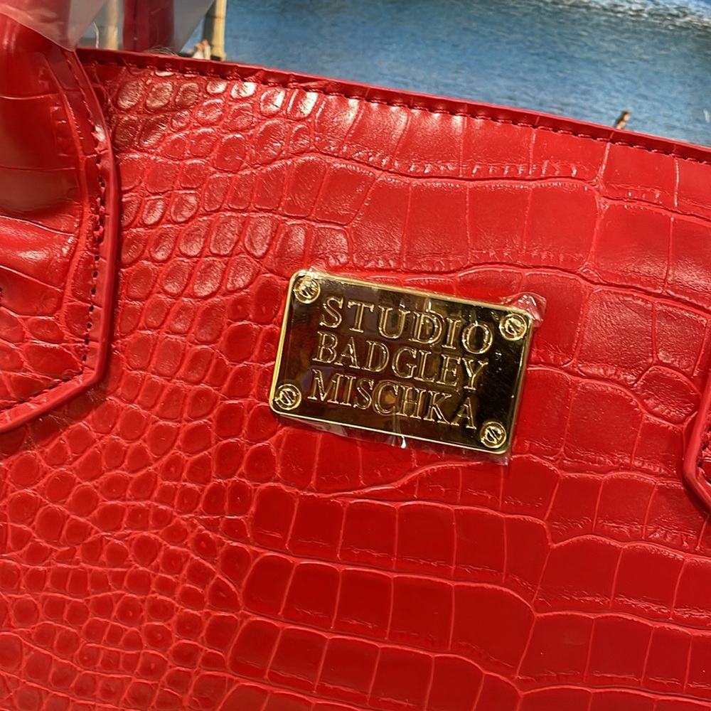 Badgley Mischka Tote - Picture 3 of 6